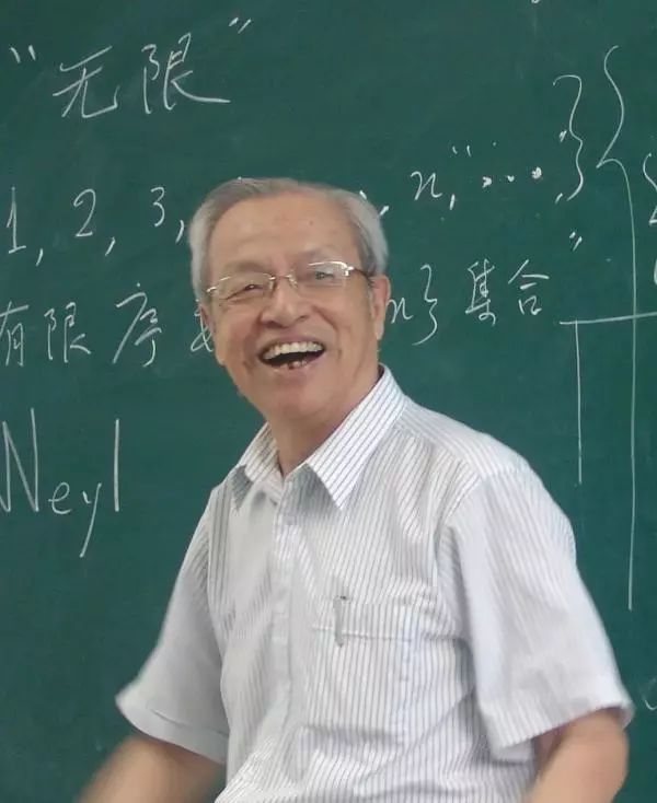 徐利治著作,数学家徐利治