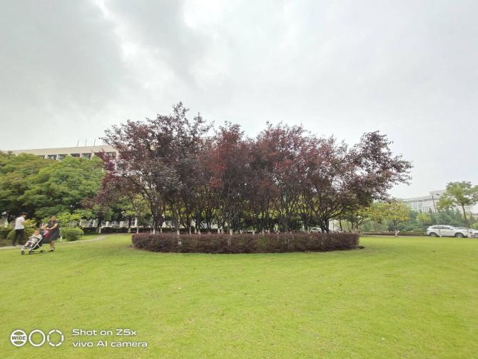 vivoz5x全面详细评测,美得不像千元机vivoz5x精美体验