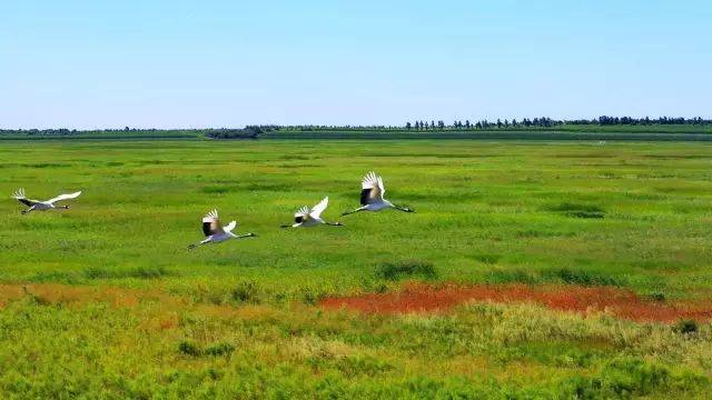吉林省风景好的公路,吉林省第一条高速公路是哪条