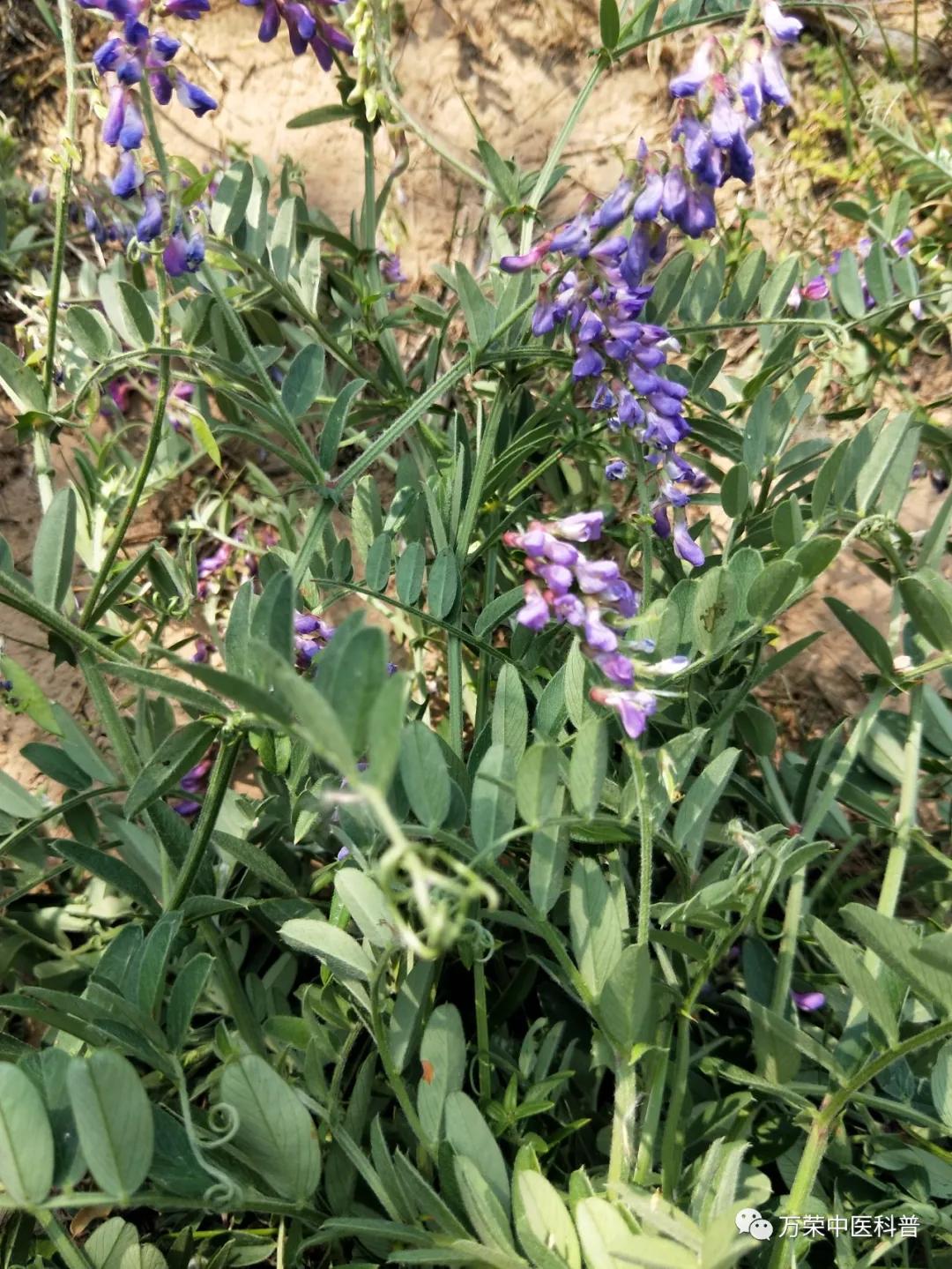 跟我回家在线免费看,跟我回家免费看