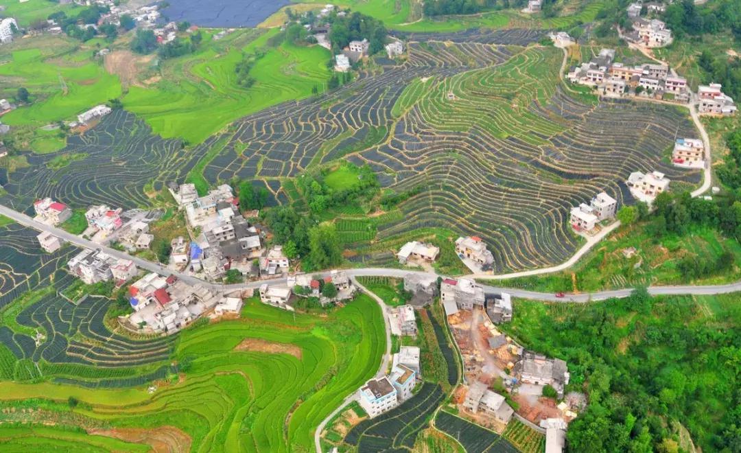 cnn评出中国40个最美的地方,cnn曾评出中国最美40个景点