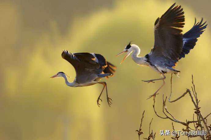 摄影入门的7大诀窍,摄影基础知识入门构图20种