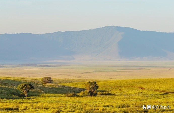 鏈涙棤杈归檯鐨勬捣,鏈涙棤杈归檯