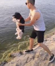 科学养犬四个标准是指哪些,科学养宠攻略狗不能吃什么