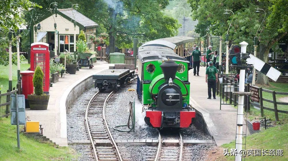 全球十大最受欢迎的野生动物园,伦敦十大动物园