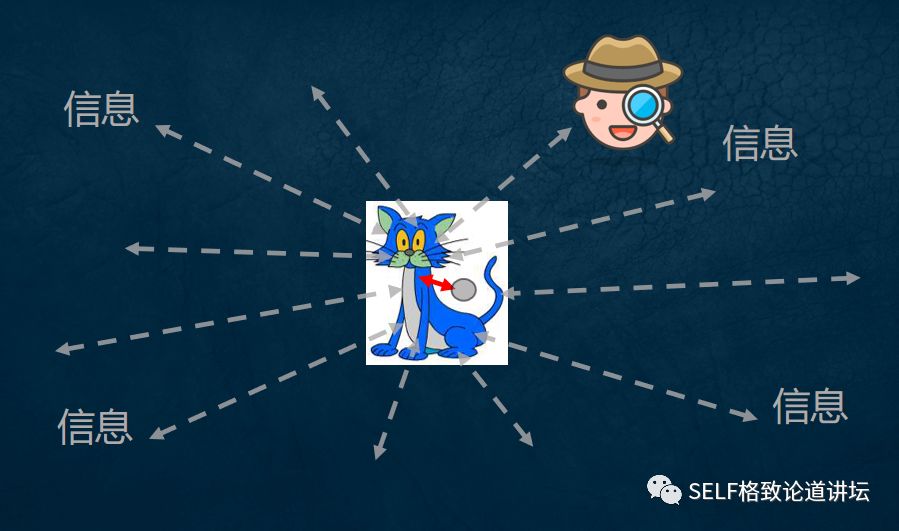 量子物理谜团薛定谔的猫已被破解 (量子计算机是否验证了薛定谔的猫)