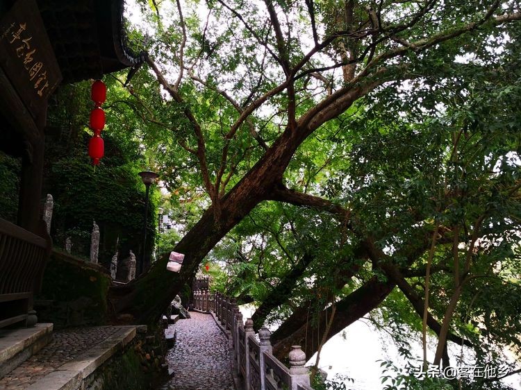 长汀县古街印象土特产,长汀古城异域风情