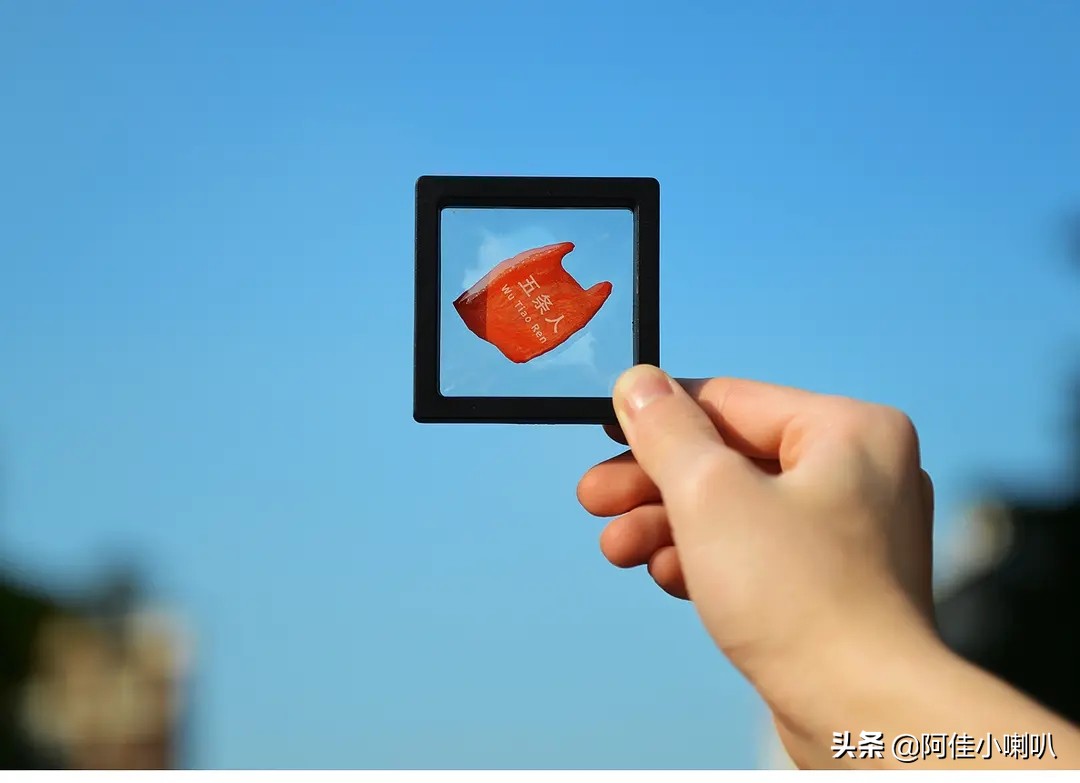 五条人士多店开张大吉这个夏天要光顾一次吗？