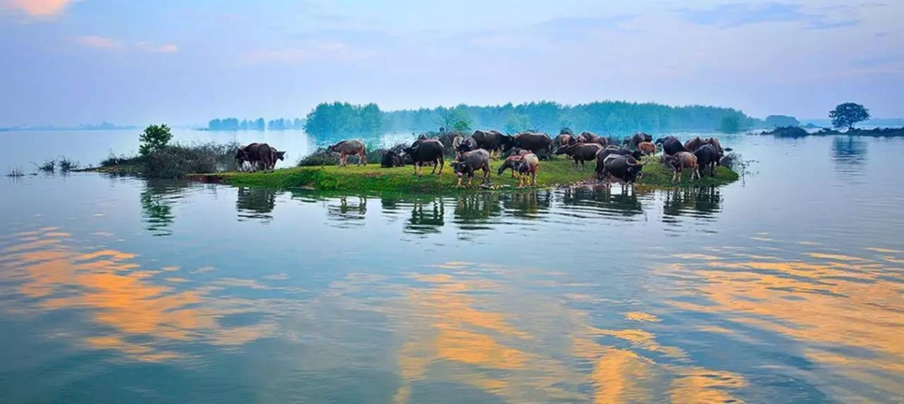 湖南湘阴，鼓励女青年留在家乡，开了个好头，要办好这事确实很难