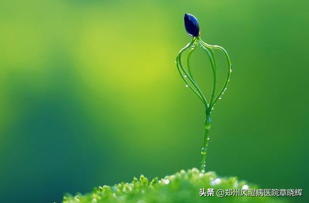 痛风的十大误区不得不看,痛风的100个误区