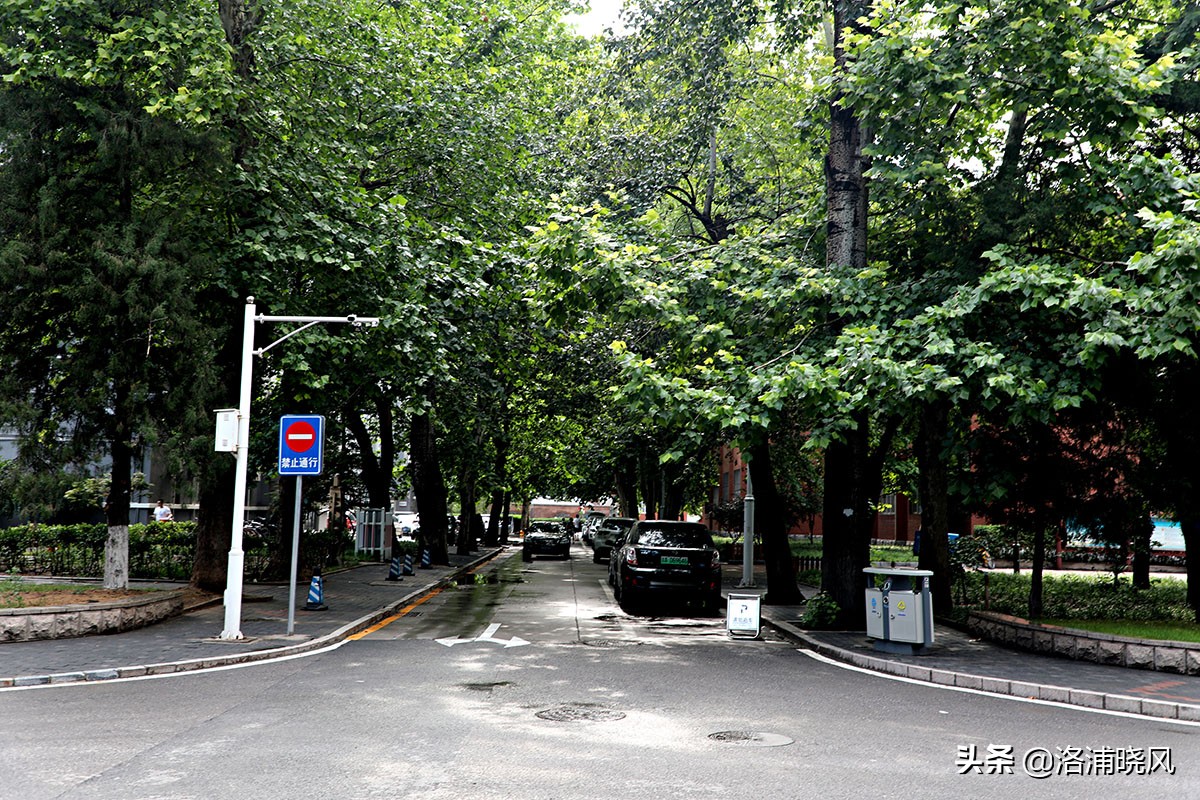 北京第二外国语学院风景,北京第二外国语学院分析