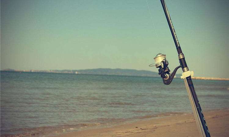 手竿钓鲢鳙7米2选择什么鱼竿,钓翘嘴9米鱼竿和10米鱼竿选择