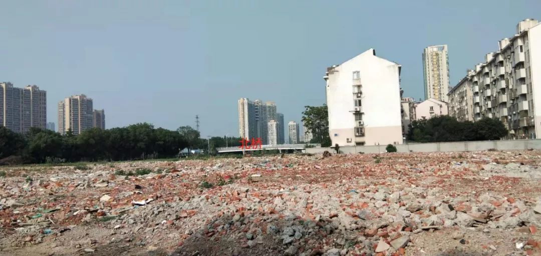 探地水产市场！中产貌平女孩招婿，青年才俊抢否？