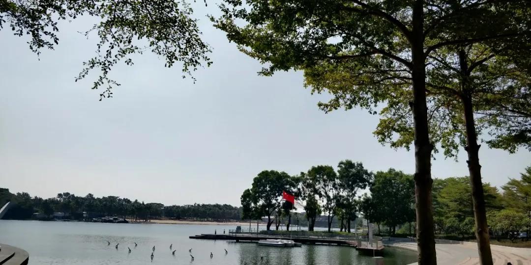 公司取名有哪些坑,正规企业取名