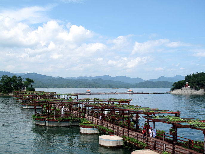 浙江省第一大县,浙江省陆地面积最大的县