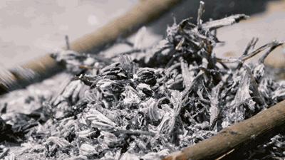 全国最好吃的7只粽子，看看有没有你家乡的