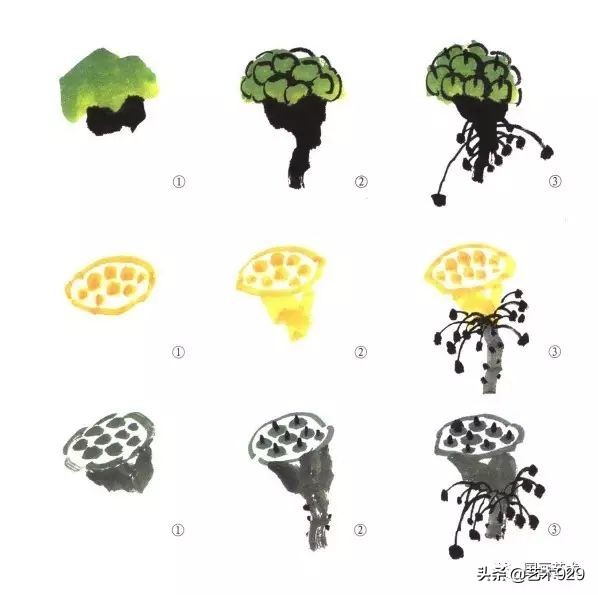 荷花的画法和步骤图解,最简单的荷花画法一学就会