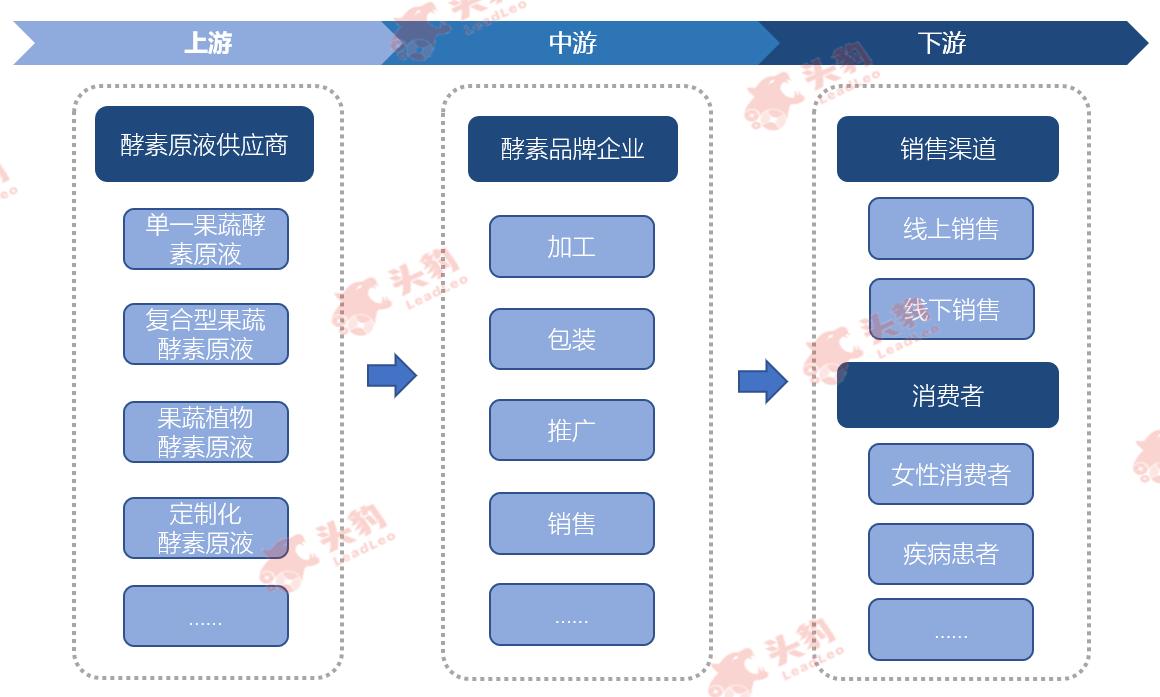 酵素的十大神奇功效,酵素作用全面解答看完赶快喝酵素