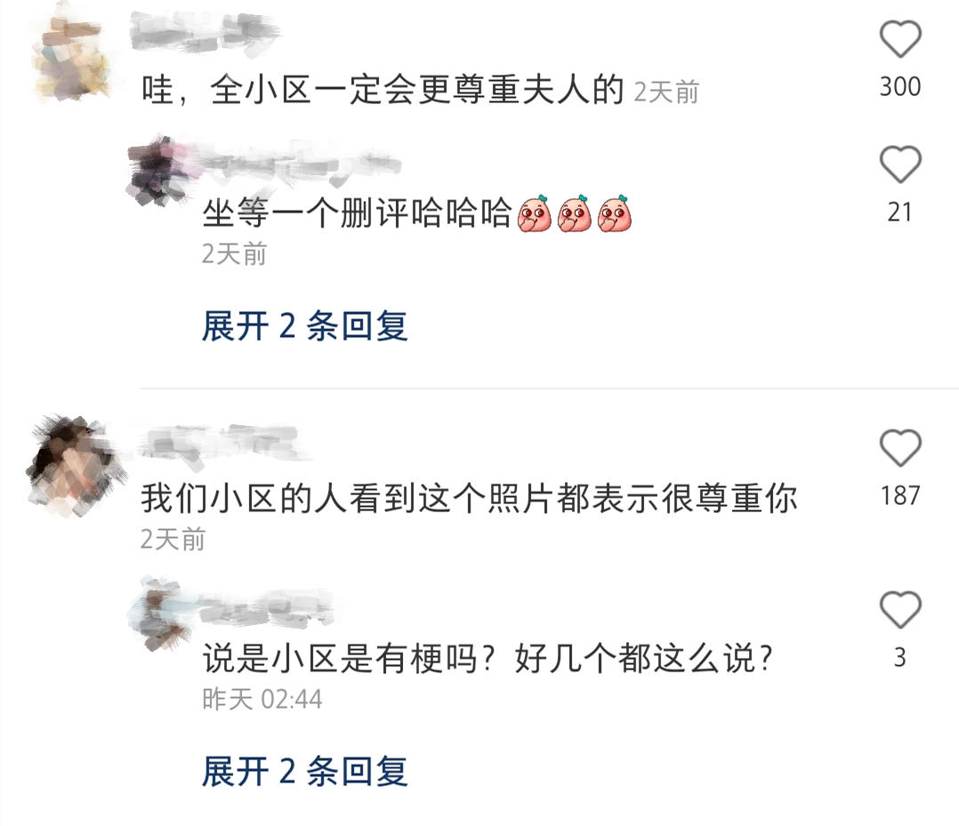 董花花穿粉色半身长裙照片,落魄的阔太太