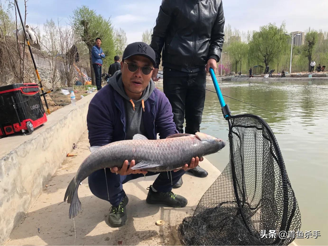 小钩钓青鱼的正确用法,单钩钓青鱼的子线多长合适