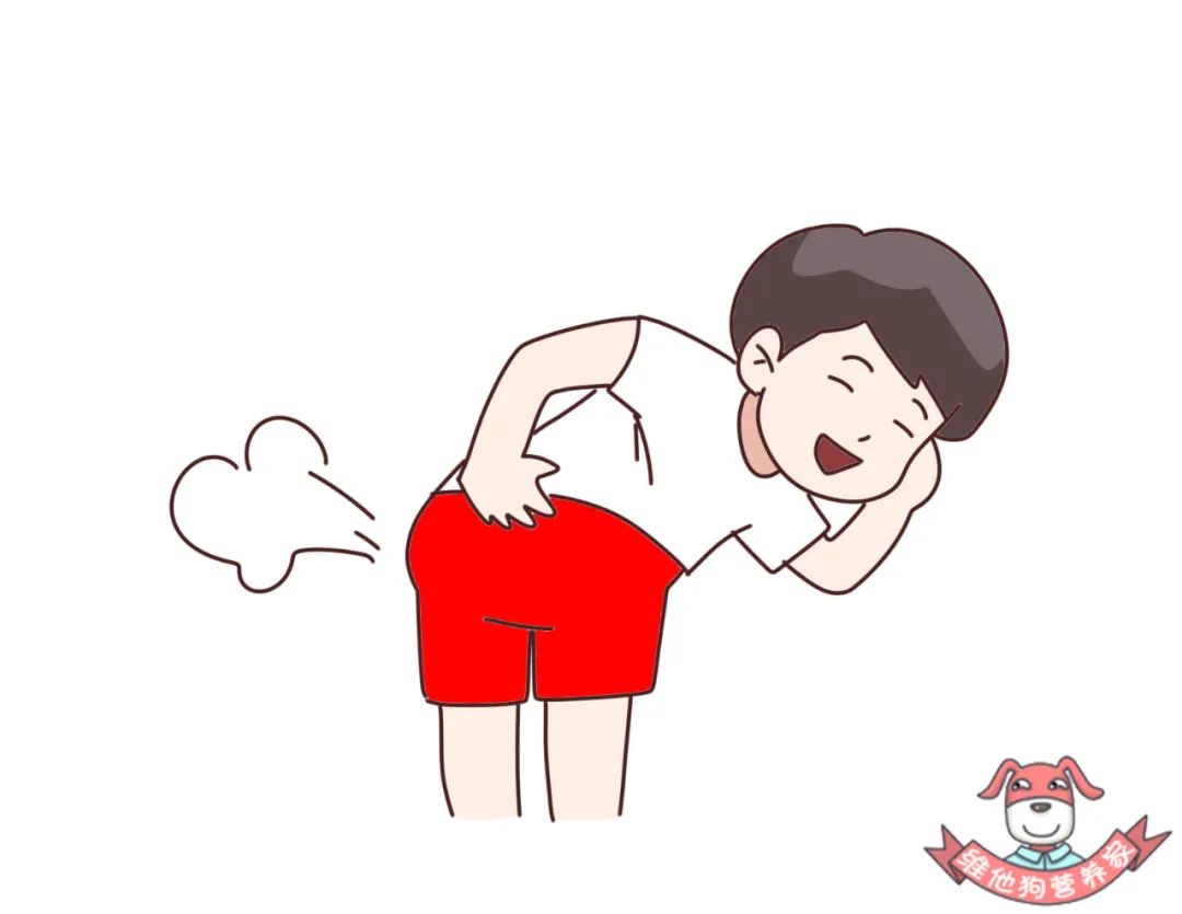 老是拉肚子放臭屁是怎么回事,最近老是拉肚子放臭屁是怎么回事