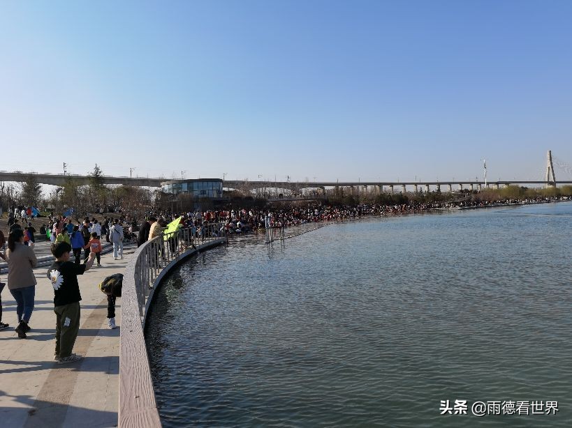 河南郑州蝶湖公园,打卡郑州网红蝶湖森林公园