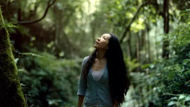 她住在西双版纳17年，再造6666亩雨林，做出了独一无二的茶