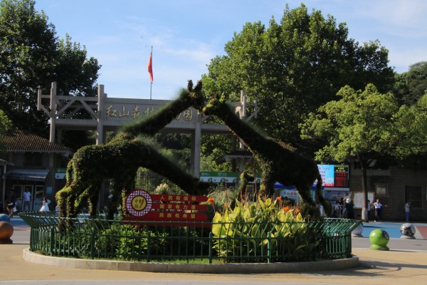 游红山动物园游览顺序,济南野生动物园和南京红山动物园