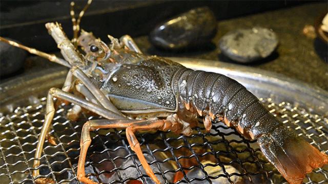 广州top1韩式烤肉店,广州烤肉top1