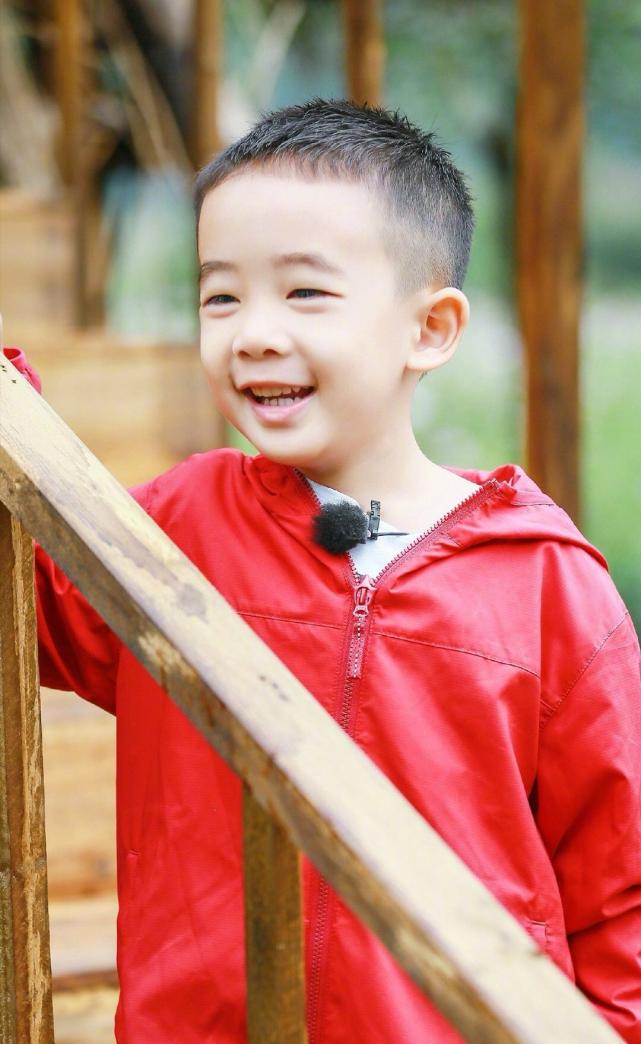 杨烁回应教育争议,在妻子微博下道歉,表示“搓衣板在路上”