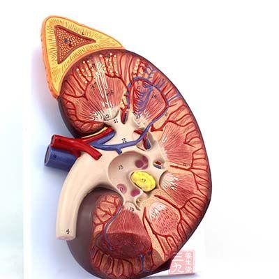 糖尿病肾病3期严重吗,糖尿病肾病饮食原则