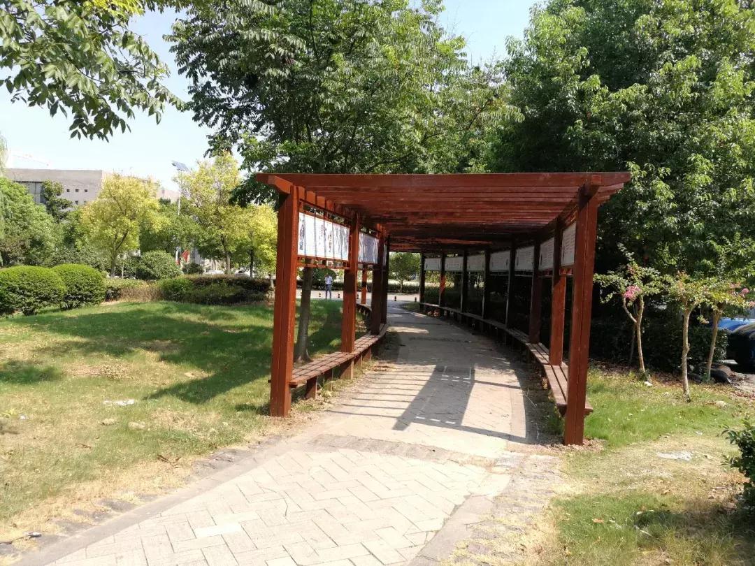 武汉最强十所大学,关注武汉大学