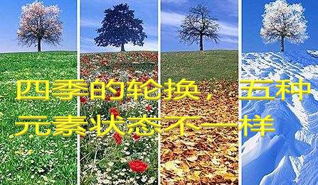 生活中的冷知识解释,生活中的冷知识100个