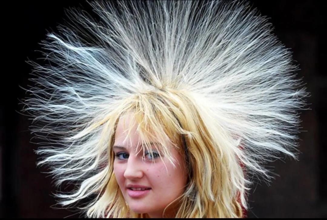 世界上最有趣的知识,世界上最好玩有趣的500个冷知识