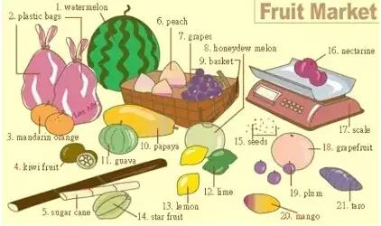 英语听力场景词汇,英语听力入门3000听力词汇