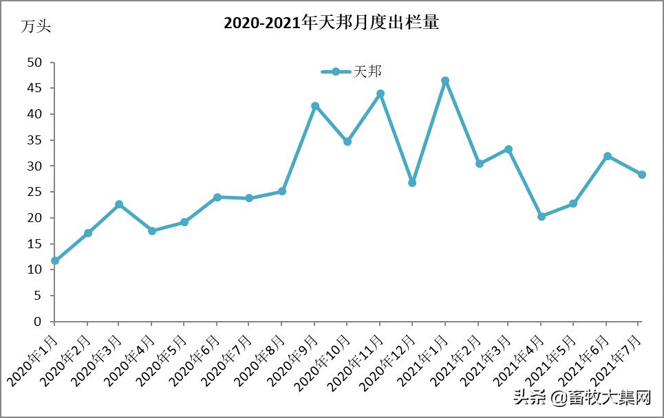 生猪出栏减少,高管大换血,中报巨亏,大卖资产,天邦今年有点难