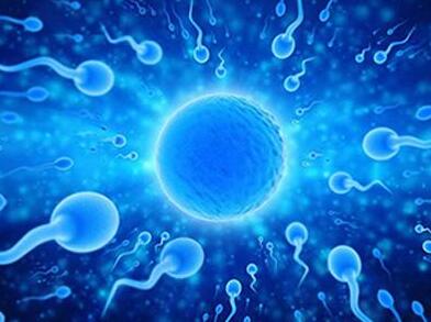 做试管婴儿要花多少费用呢,试管婴儿准备移植前怎样调理身体