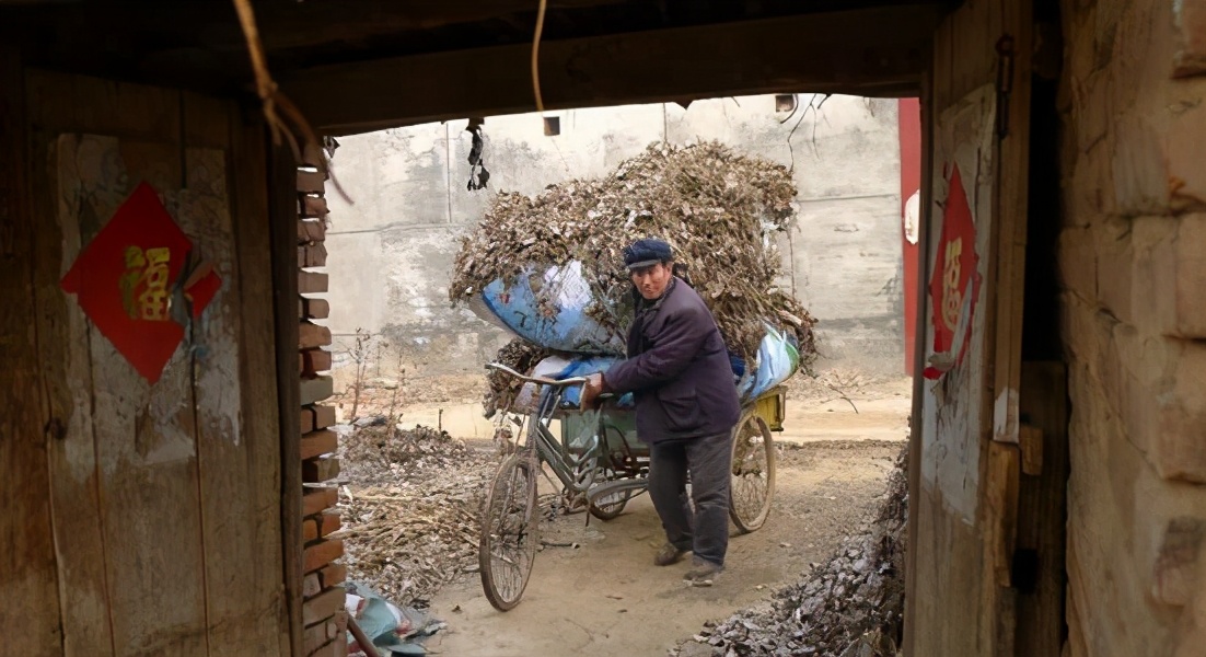 散文落叶片段,散文落叶歌曲