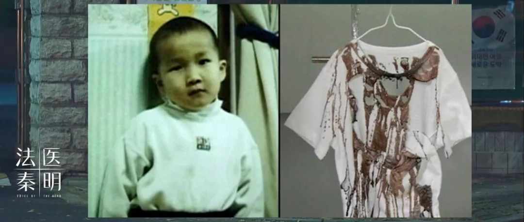 2019年影响力最高的十篇更新，最让你感到震撼的是哪一篇？