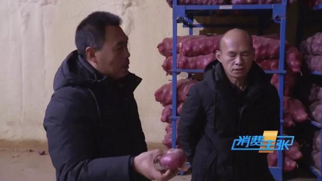 洋葱价格及出口情况,全国各地洋葱产地批发价格