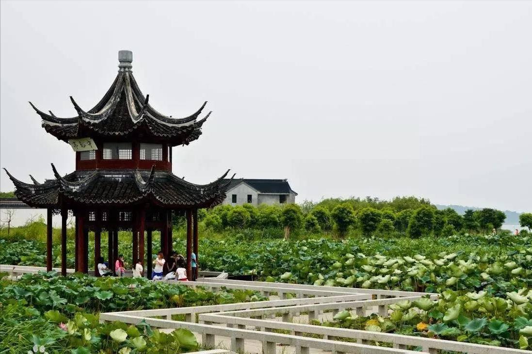 苏州适合夏天徒步的山,苏州赏秋徒步攻略