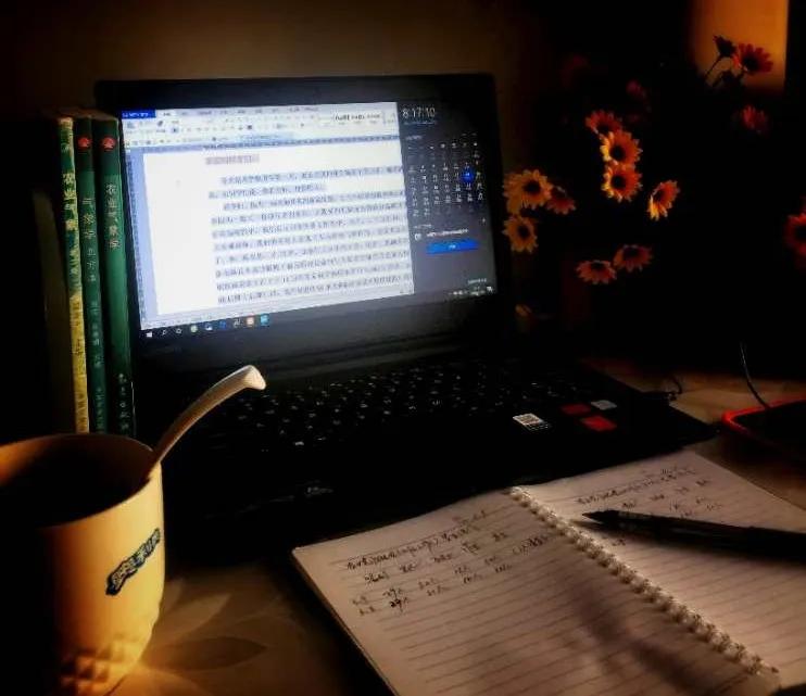 网课第一天的感受,网课初体验