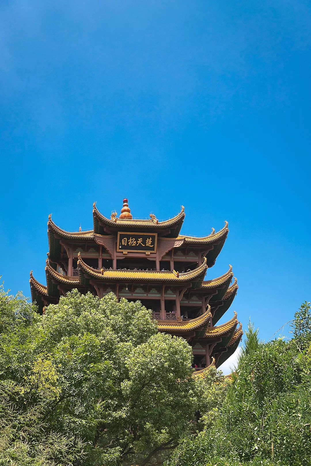 武汉为什么这么多人都值得去,武汉人为什么要去旅游呢