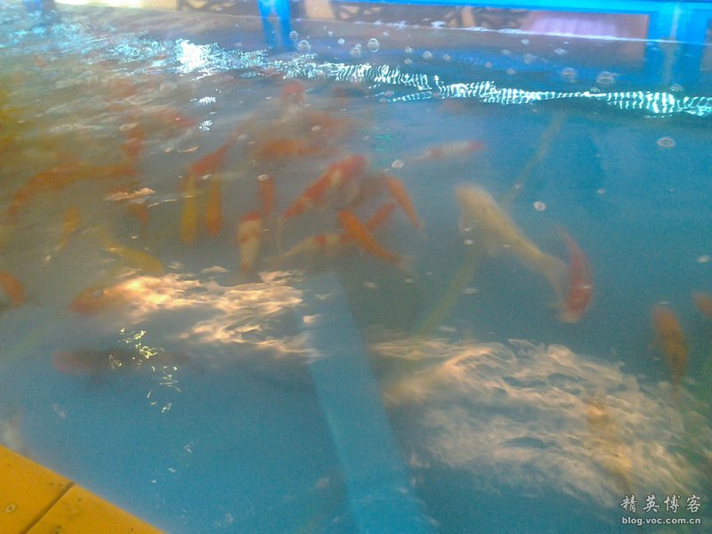 鏍床缇庣殑鏃朵唬骞垮満,鏍床缇庣殑鏃朵唬骞垮満鍋滆溅鏀惰垂