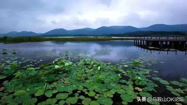 安徽十大强县当涂县,安徽61个县人均经济排名