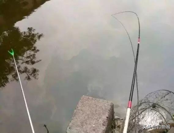 鱼竿新手入门教程,初学者如何选一支好的鱼竿