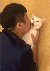 爱我，就给我舔屁股吧