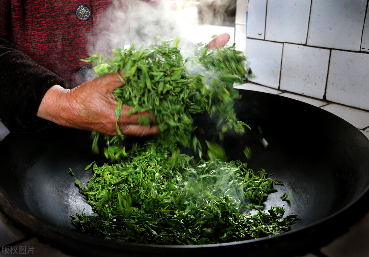 白茶制茶工艺流程及原理的讲解,绿茶制茶工艺流程及原理的讲解