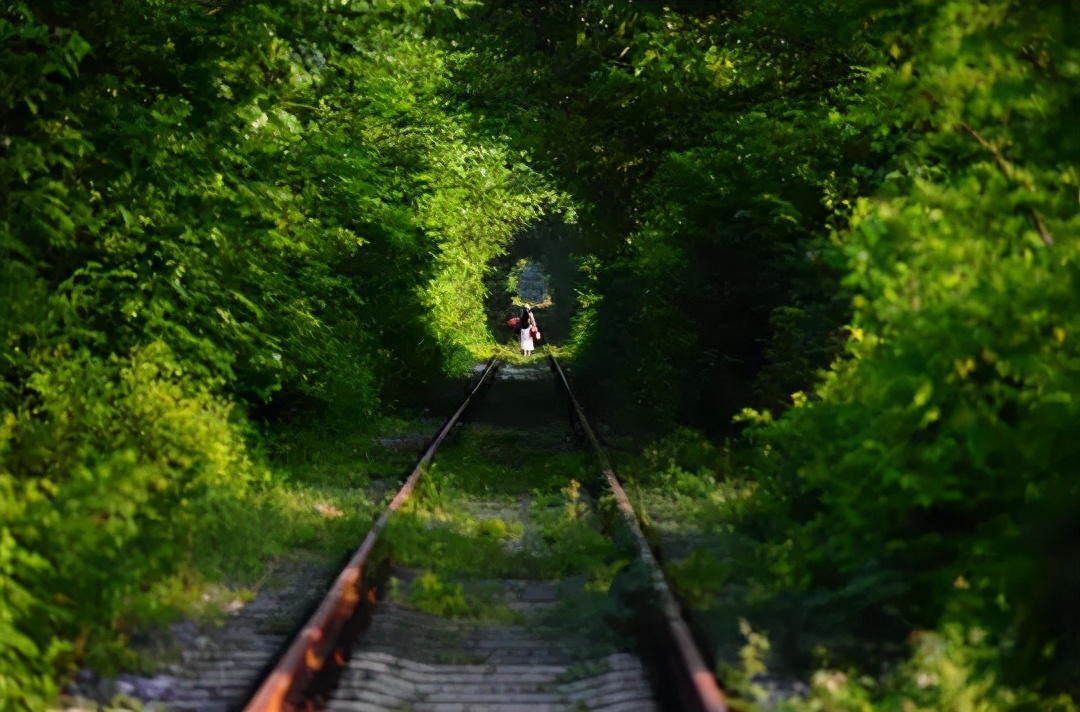 国庆肥西十大网红打卡地,合肥春游打卡攻略