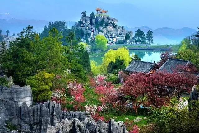 万盛石林天机降临，你该如何石破天机？（内有福利）